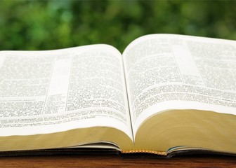 Obraz premium Open revelation.