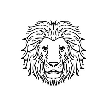 Graceful Lion in Line Art Vector Illustration