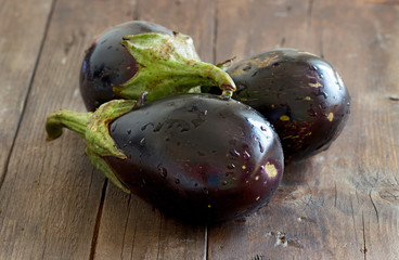 Fresh Ripe Raw eggplants