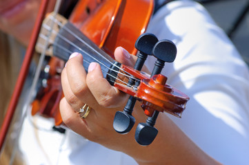 Hand on the fingerboard of violin