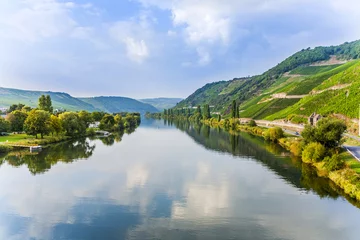 Zelfklevend Fotobehang moselle valley at Trittenheim © travelview