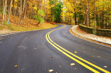 Autumn scene with road in forest