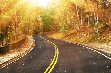 Papier Peint photo autocollant Automne Scène d& 39 automne avec route en forêt