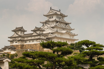 Himeji castle with pine trees in foreground © Patrik Stedrak