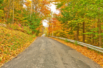 Fototapeta na wymiar Autumn scene with road