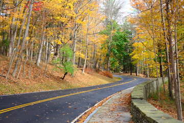 Obraz premium Autumn scene with road in forest