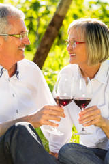 Senioren sitzen im Weinberg trinken Wein, Mann und Frau prosten sich zu