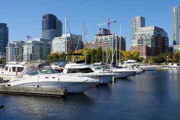 Fototapeta na wymiar Yachts in a downtown Toronto marina