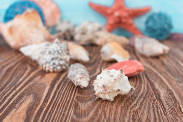 Spa stuff with sea salt and shell