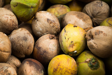 Coconuts fruit