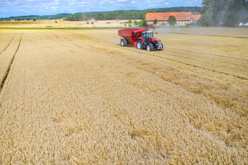 Obraz premium Combine working on the wheat field
