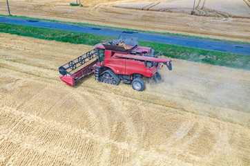 Combine working on the wheat field