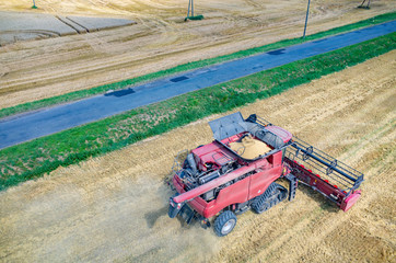 Combine working on the wheat field