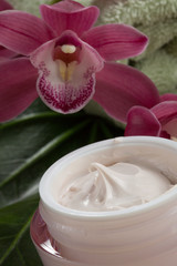 Face Cream and Pink Orchid