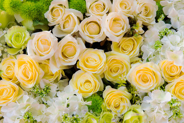 Bouquet of roses background.
