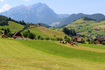 Fototapeta na wymiar Scenic Alps pastures, town, mountains