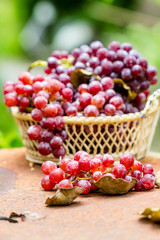 Red grape fruits