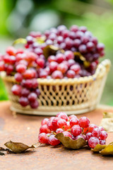 Red grape fruits