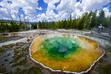 The Morning Glory Pool, Yellowstone National Park