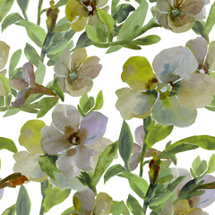 Watercolor illustration of petunia flowers seamless pattern