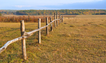 wooden fence in the autumn field