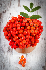 Bunch of red rowan with leaves on rustic wooden background