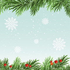 Fototapeta na wymiar Spruce branches background. Christmas background