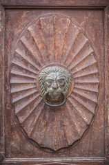 lion shaped knocker on the old wooden door