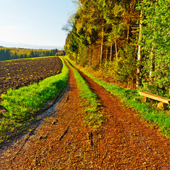 Dirt Road
