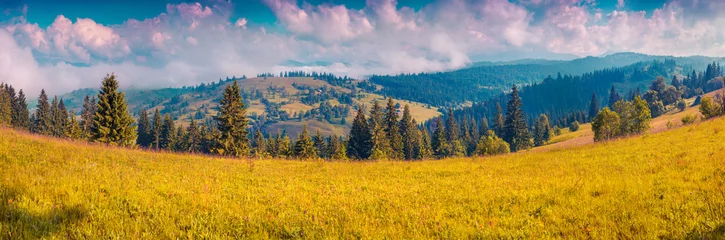 Foto op Aluminium Panorama of the summer morning in the foggy Carpathian mountains © Andrew Mayovskyy