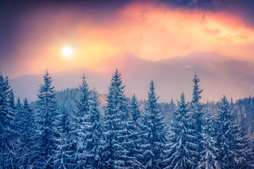 Colorful winter sunset in the Carpathian mountains