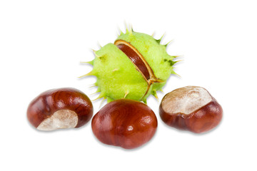 Several conkers on a light background