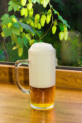 Glass of beer on the background branches with hops