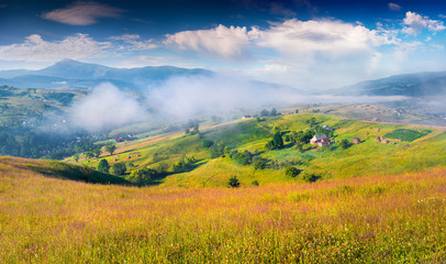 Foggy summer morning in the Carpathian mountains