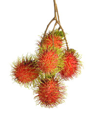 Rambutans fruit with leaf on white background.