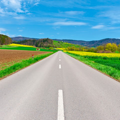 Road between Fields