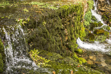 Acqua 6