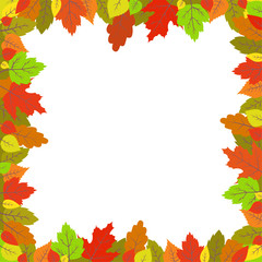 Colorful autumn leaves frame. Vector pattern for your design