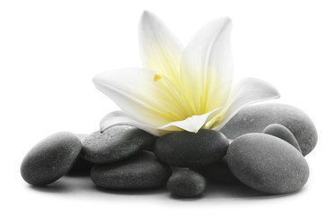 Fototapeta na wymiar Spa stones with flower isolated on white