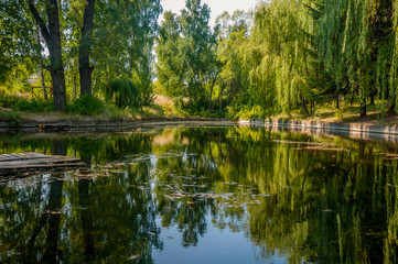 Fototapeta na wymiar a mirror reflection of trees in lake