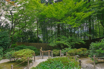 慈照寺銀閣寺庭園