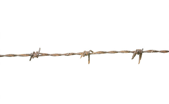 Rusty barbed wire isolated