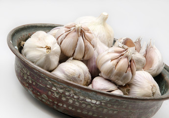 garlic