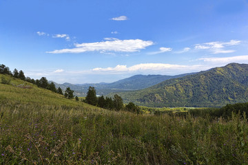 Obraz premium Mountain river
