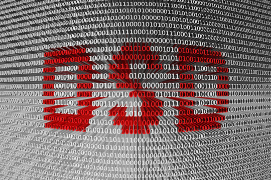 Direct Stream Digital is presented in the form of binary code