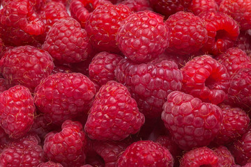 Raspberry fruit background