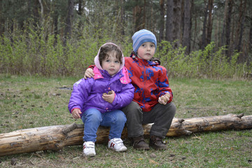 Spring in the woods on a log sitting a little boy and girl.