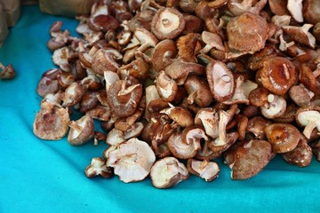 Shiitake Mushrooms