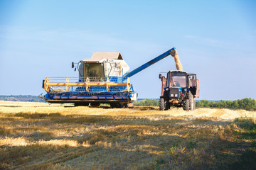 Fototapeta premium Combine harvester working
