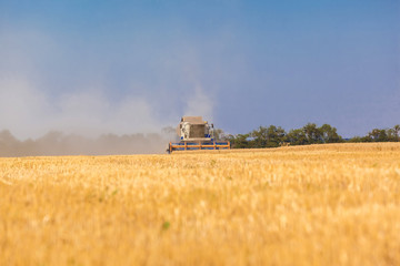 Combine harvester working